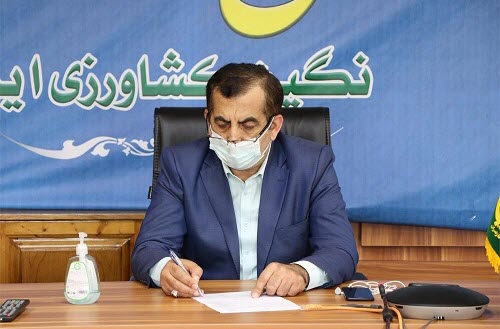 تحقق 40 درصدی طرح توسعه زراعت چوب در مازندران