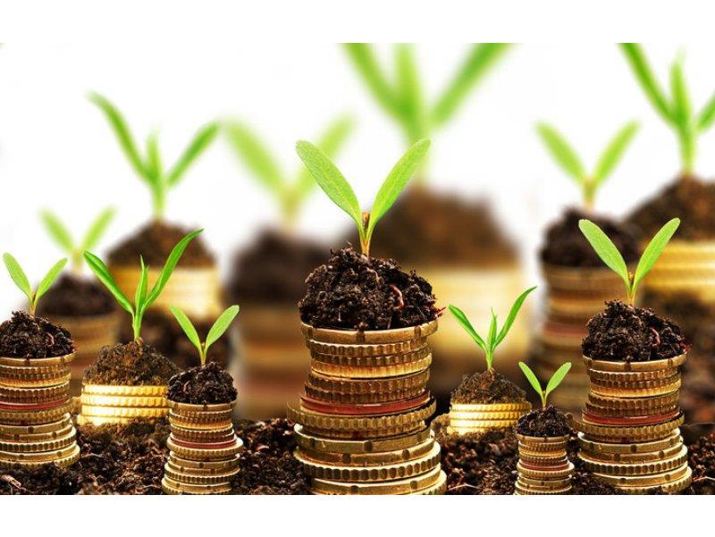 کسب رتبه برتر سیمرغ در طرح های اشتغال زودبازده مازندران