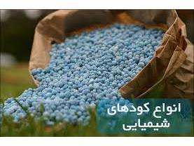 13 هزار تن کود شیمیایی بین کشاورزان بابلی توزیع شد 