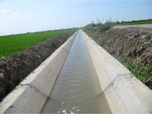 اجرای 8 پروژه زیربنایی کشاورزی در بهشهر/ اعتبار 22 میلیاردی