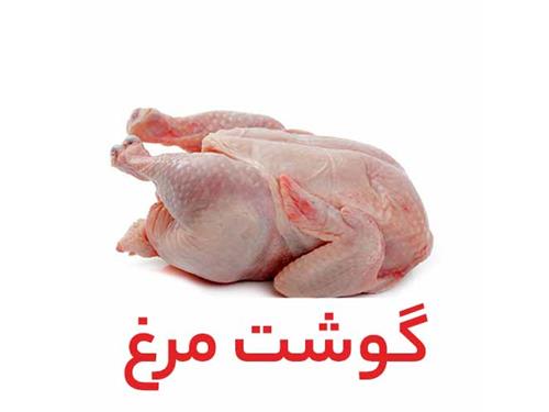 تولید 1600 تن گوشت مرغ در گلوگاه