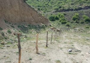 حصارکشی عرصه پایگاه تاریخی غار اسپهبد خورشید در مازندران