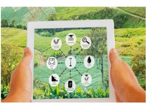 ۱۳ هزار قطعه زمین کشاورزی نکا در سامانه سیاک ترسیم شد