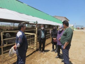 بازدید مدیر هماهنگی ترویج کشاورزی جهاد کشاورزی مازندران از شرکت بهدیس بهشهر +تصاویر