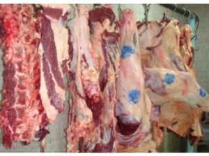 تولید ۲۳۰۰ تن گوشت قرمز در جویبار/ افزایش ۱۰ درصدی