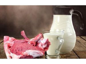 تولید سالانه ۶۳ هزار تن شیر و گوشت قرمز در بابلسر