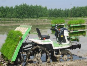 جذب ۱۵۰۰ میلیاردی تسهیلات بانکی در بخش کشاورزی بابل