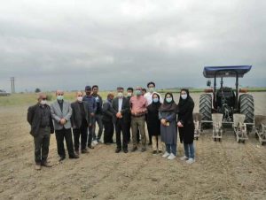 کشت مکانیزه ۴۰ درصدی پنبه در بهشهر +تصاویر