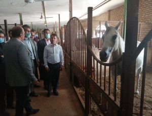 بازدید مدیرکل ورزش و جوانان از مزرعه پرورش اسب و سوارکاری شهسوار تنکابن