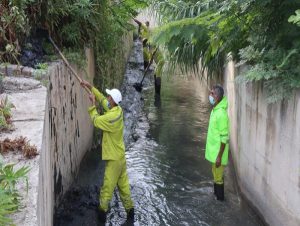 کانال‌های سطح شهر ساری لایروبی شدند/ آماده‌باش نیروهای امدادی و عوامل خدماتی شهرداری