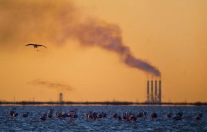 تشدید آلودگی هوا در مازندران با افزایش واحدهای مازوت‌سوز