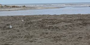 روایتی جدید از ماسه‌خواری در سواحل نشتارود