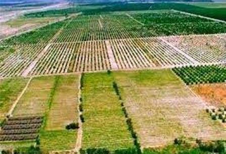 قیمت گذاری ۱۱۹ پرونده امور زمین‌ها در نور