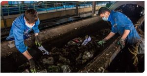 برکناری پیمانکار کارخانه زباله سوز ساری