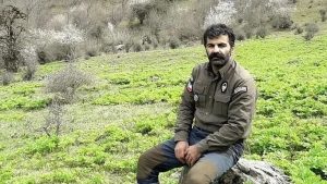 پشت پرده گفت‌وگوی محیط‌بان مازندرانی با خرس