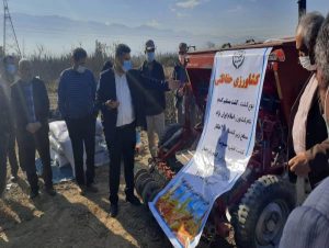 ۳ هکتار از مزارع گندم گلوگاه کشت نوتیلج شد