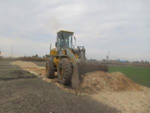 دو هکتار زمین کشاورزی بهشهر به چرخه تولید بازگشت