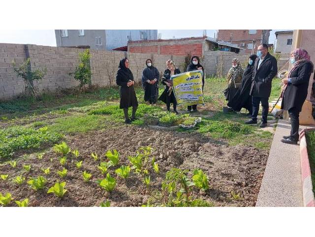 لزوم تولید سبزی و صیفی سالم در بهشهر