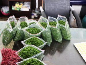 چاره‌ای جز برد مقابل پدیده شهرخودرو نداریم