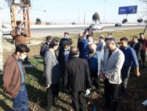 حاشیه جاده آمل به بابل درختکاری می شود/ لزوم نگهداری از درختان