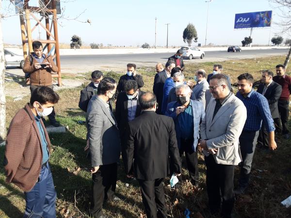 حاشیه جاده آمل به بابل درختکاری می شود/ لزوم نگهداری از درختان