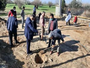 زراعت چوب در ۱۰۳ هکتار از اراضی گلوگاه و کاشت ۴۰۰ نهال در طرح نهضت سبز