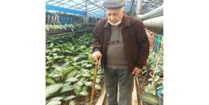 عشق به طبیعت و کار شروع از گلخانه ۶۰ متری تا گسترش هکتاری