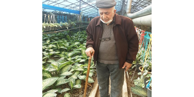 عشق به طبیعت و کار شروع از گلخانه ۶۰ متری تا گسترش هکتاری