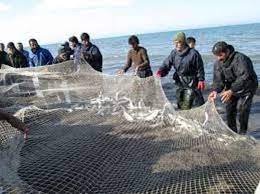 مهاجرت ماهیان به عمق دریابه علت کاهش دما و سرد شدن آب