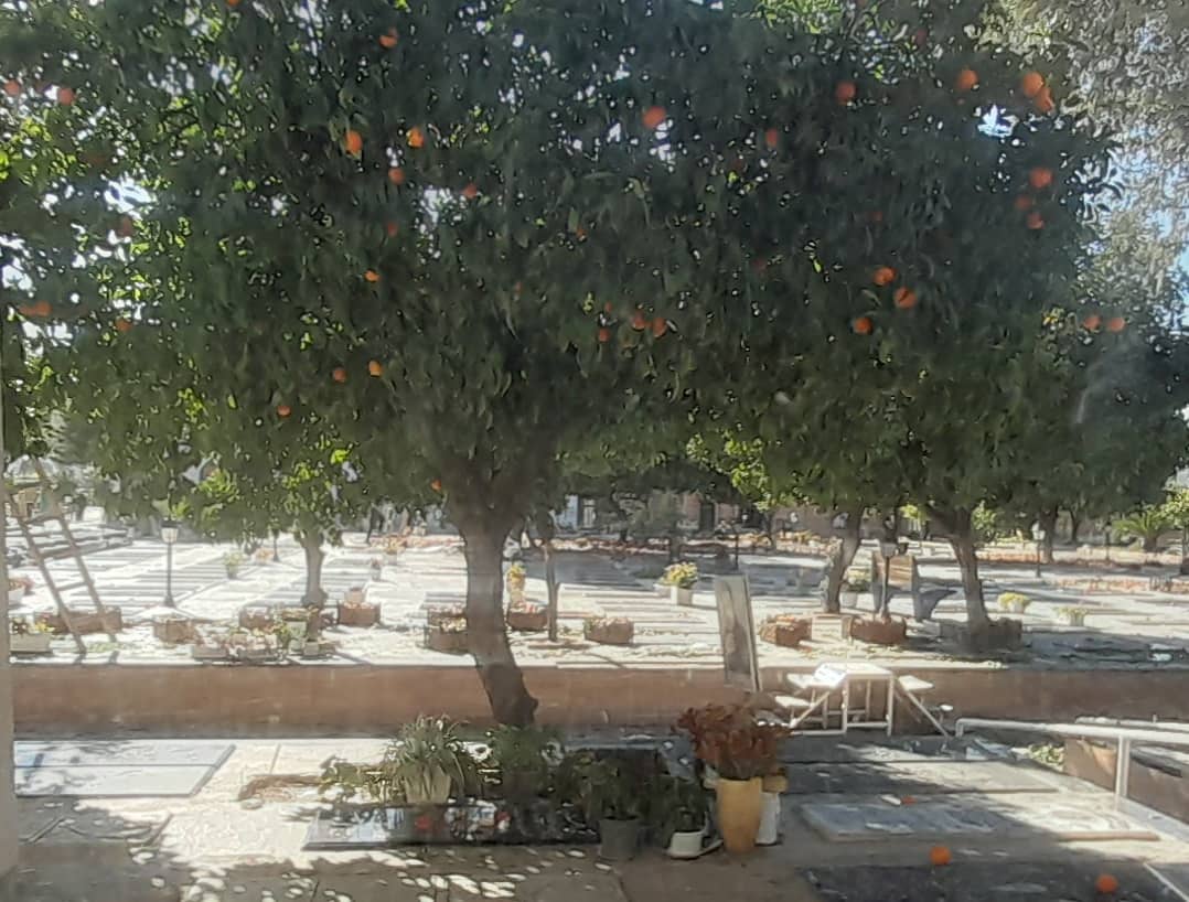 نارنج های سرطان زا و مغزی قفل های پاستور !