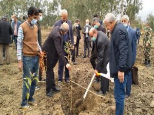 مراسم جشن درختکاری و توسعه زراعت چوب در بهشهر