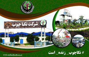 شرکت نکا چوب در پی انتشار اخباری مبنی بر کسر حقوق پرسنل شرکت اطلاعیه ای صادر کرد.