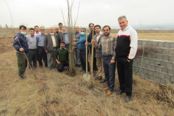 کاشت نهال در محوطه اداره کل پزشکی قانونی مازندران در هفته درختکاری