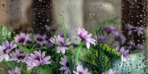 کاهش بارش باران به میزان ۶۰ درصد در نخستین ماه از فصل بهار ۱۴۰۱