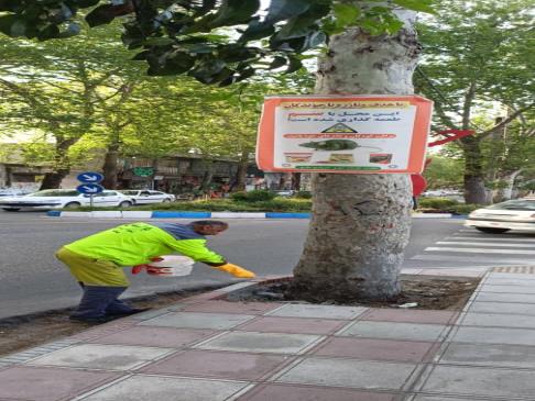 اجرای مداوم طرح‌های مبارزه با جوندگان و پلاک‌کوبی سگ‌های بدون صاحب