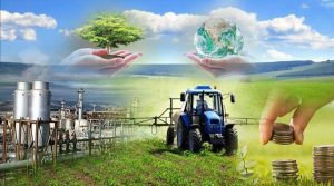 عزم جدی برای توسعه اقتصادی مازندران وجود ندارد