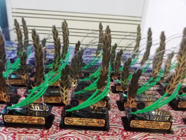 ۱۲ درصد فعالیت های کشاورزی استان مازندران مرتبط با زنان است