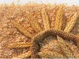 توزیع نهاده دامی در محمودآباد به میزان ۵۵۹ تن