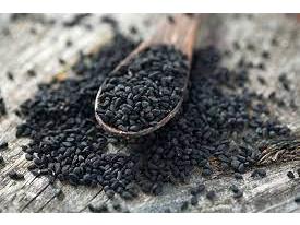 پیش بینی تولید ۲۶ تن سیاه دانه در شهرستان گلوگاه