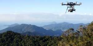 اردیبهشت و خرداد ماه؛ بدون حریق در جنگل‌های مازندران