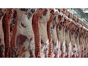 تولید ۱۲۵۰ تن گوشت قرمز در شهرستان بابل