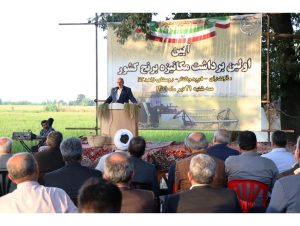 تولید دو برابری برنج با اجرای زهکشی اراضی مازندران