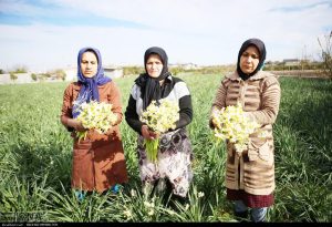 کُردکلا ی جویبار؛ سرشار از استعداد،بی نصیب از حمایت