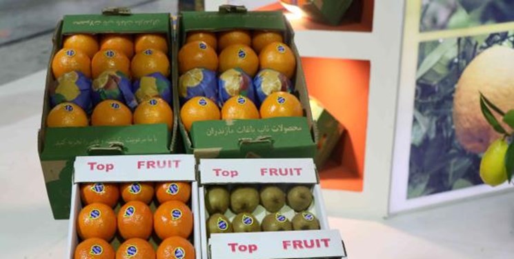 امضا تفاهم‌نامه صادرات مرکبات، پرتقال و لیموشیرین به کشور چین