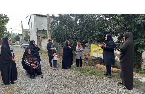 ایجاد پنج سایت آموزشی ترویجی سبزی و صیفی در شهرستان محمودآباد