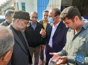 خرید توافقی ارقام پر محصول برنج در ساری آغاز شد