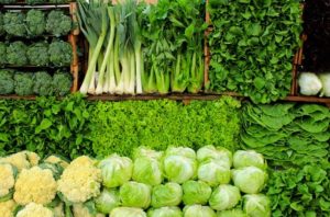 کشت ۱۷۰۰ هکتاری سبزیجات برگی در شهرستان بابل