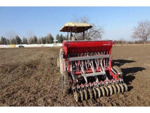 کشت بدون شخم گندم در ۱۰۰ هکتار مزارع شهرستان بهشهر