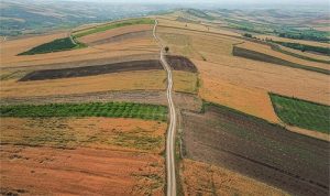 یارانه ای به مبلغ ۱۰۰ هزار تومان بیمه برای هر هکتار دیمزار در جهش تولید