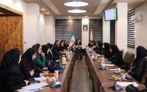 برگزاری کارگاه آموزشی حل مسئله و مهارت آموزی ویژه مددکاران مراکز مثبت زندگی